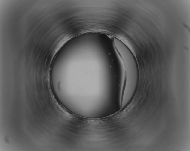 X0000091170906200709060931