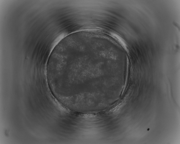 X0000091170907200709060931