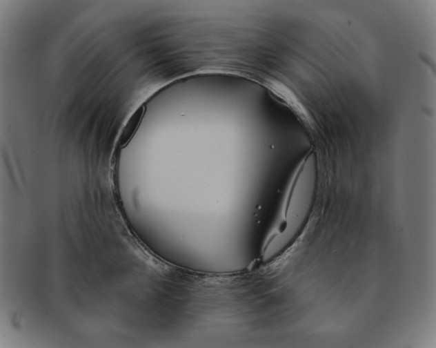 X0000091170908200709060931