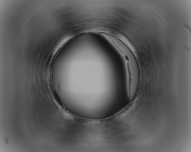 X0000091170909200709060931