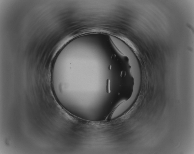 X0000091170910200709060931