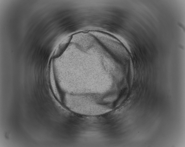 X0000091170911200709060931