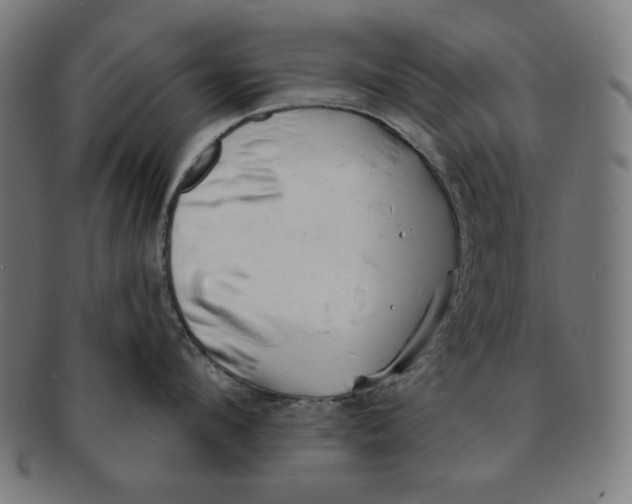 X0000091170912200709060931