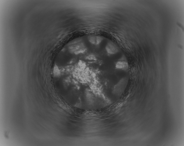 X0000091170913200709060930