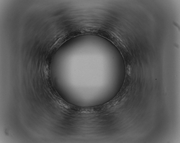 X0000091170915200709060930