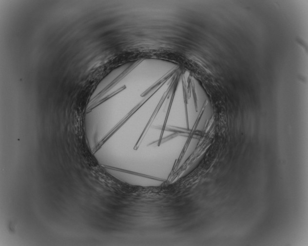 X0000091170917200709060930