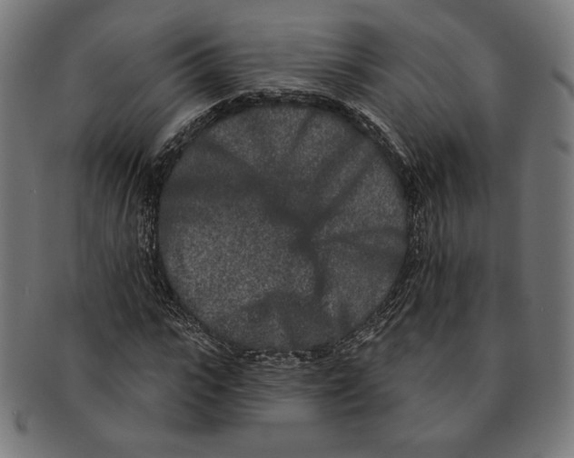 X0000091170919200709060930