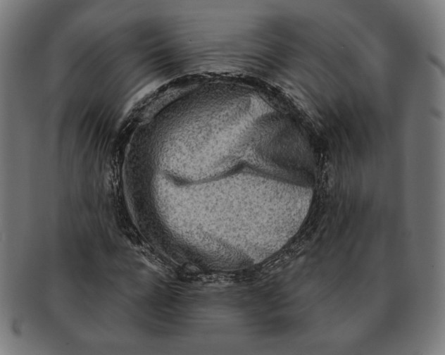 X0000091170920200709060930