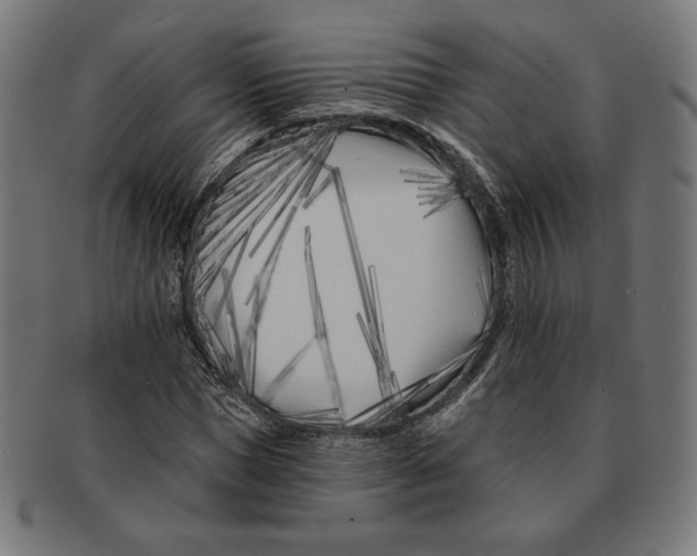 X0000091170921200709060930
