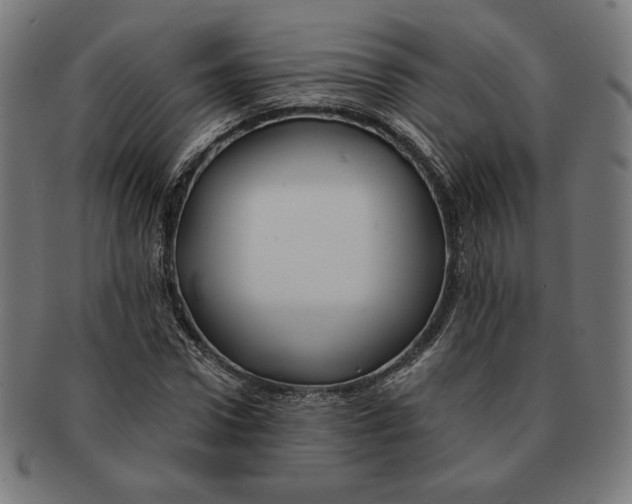 X0000091170922200709060931