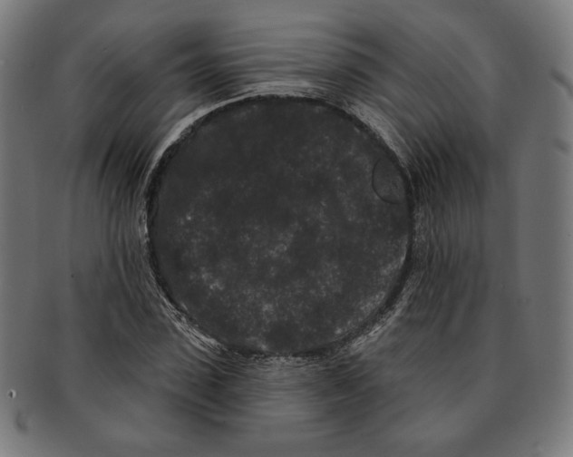 X0000091170923200709060931