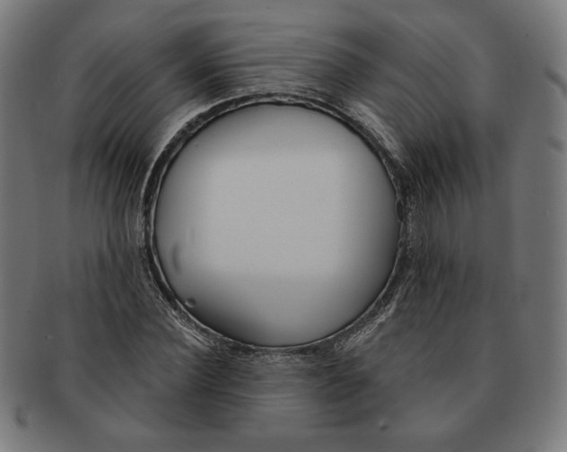 X0000091170924200709060931