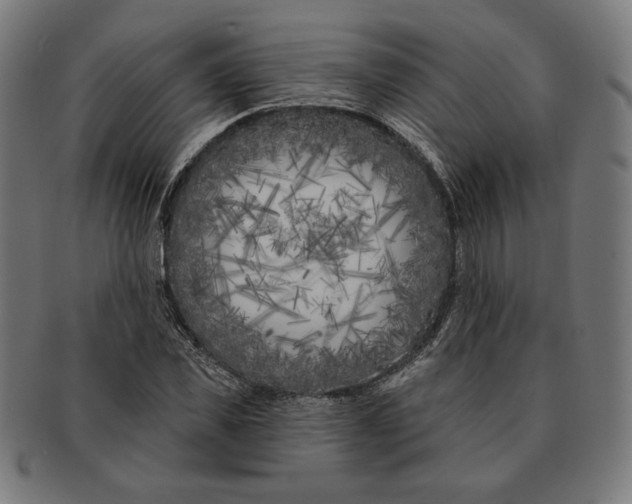 X0000091170925200709060931