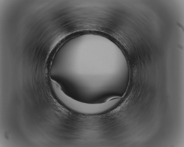 X0000091170926200709060931