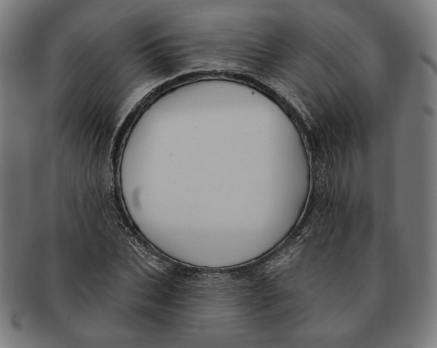 X0000091170927200709060931