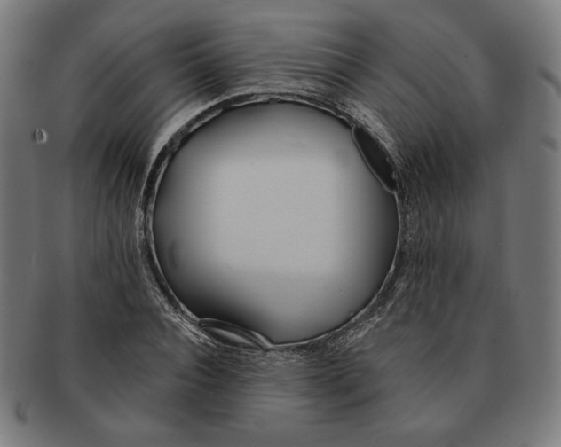 X0000091170928200709060931