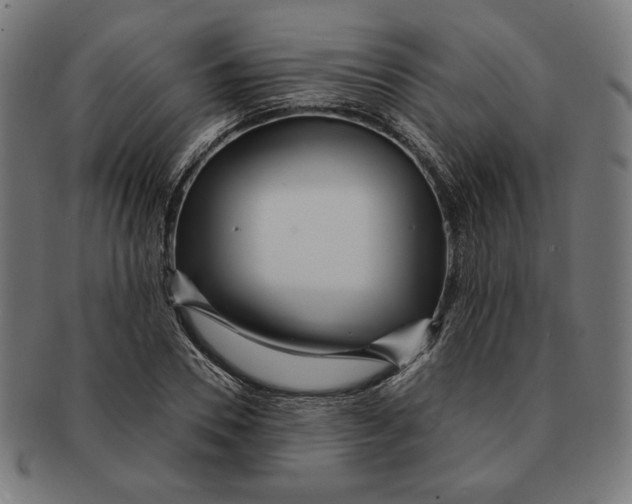 X0000091170930200709060931