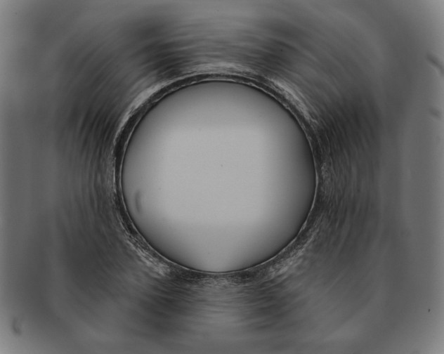 X0000091170931200709060931