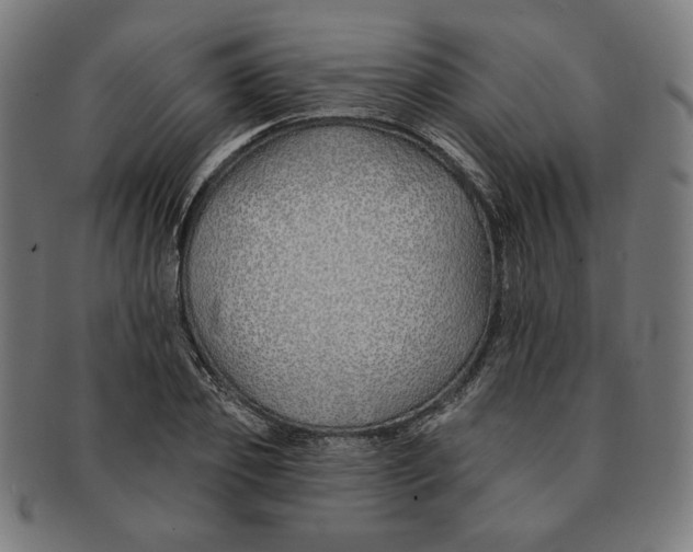 X0000091170933200709060931