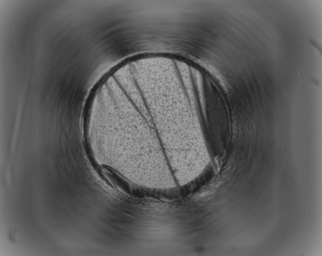 X0000091170935200709060931