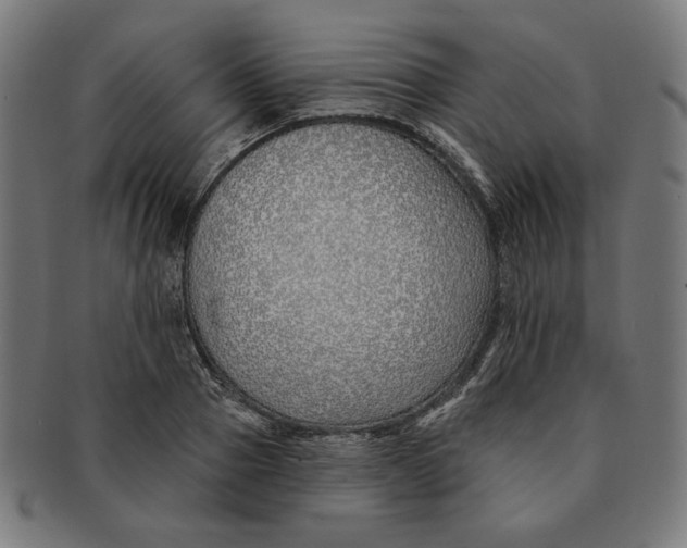 X0000091170937200709060931