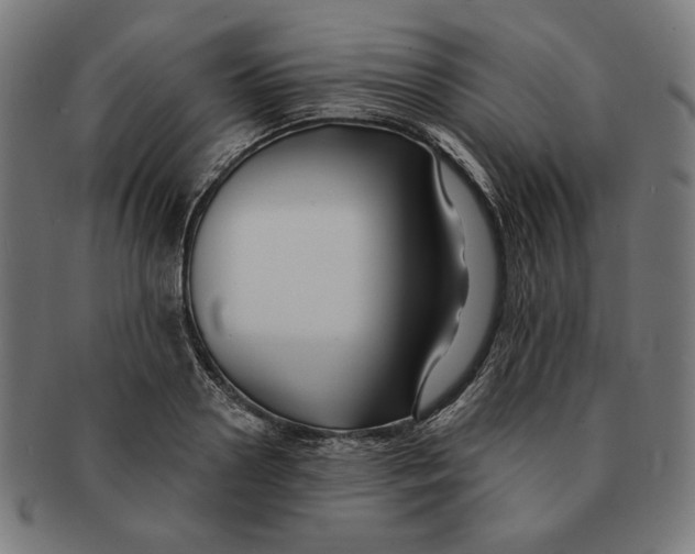 X0000091170938200709060931