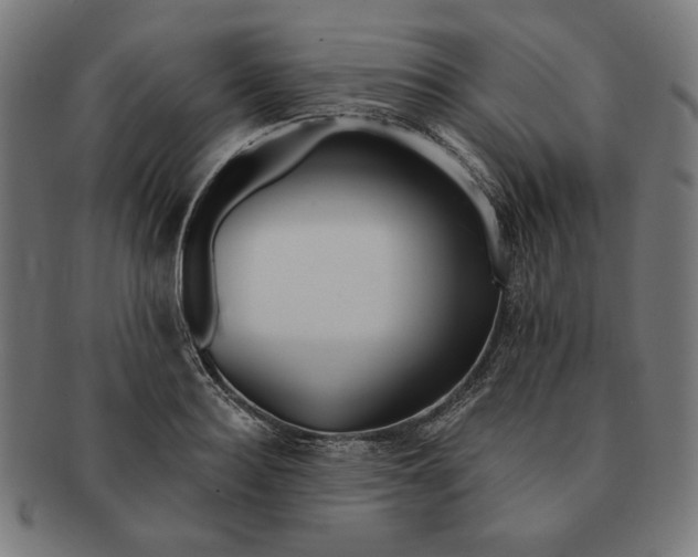 X0000091170940200709060931