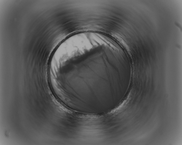 X0000091170941200709060931