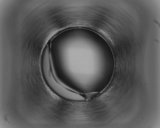 X0000091170942200709060931