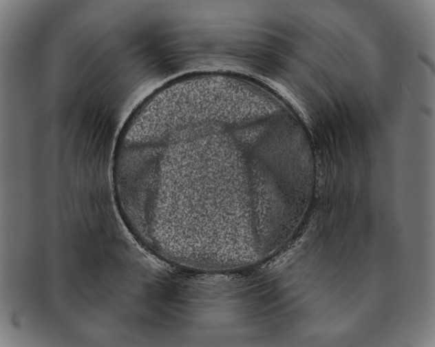 X0000091170943200709060931