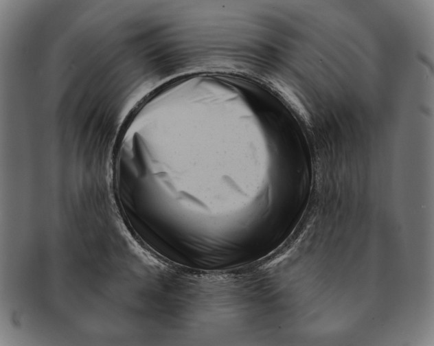 X0000091170944200709060931