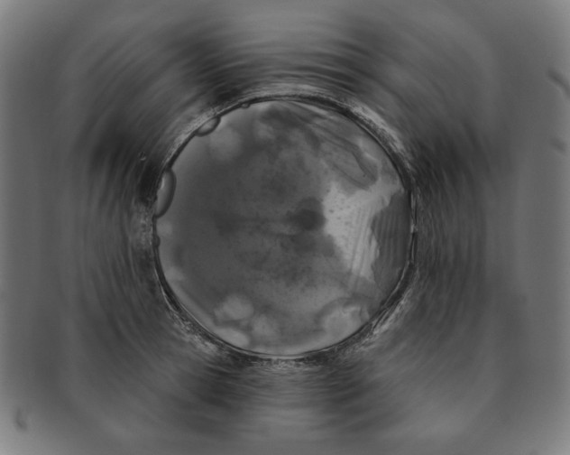 X0000091170945200709060931