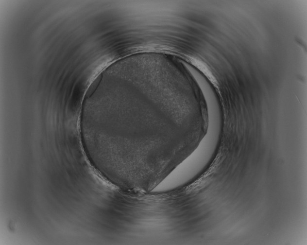 X0000091170946200709060931