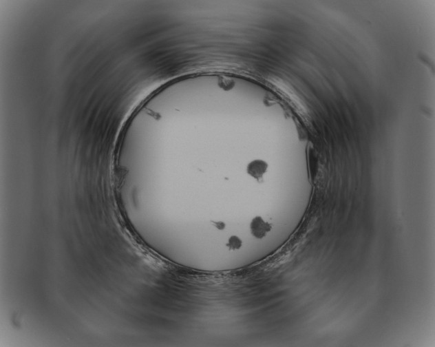 X0000091170948200709060931
