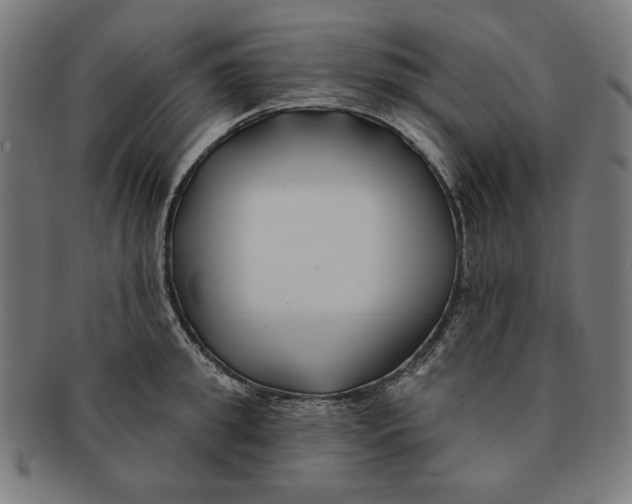 X0000091170949200709060931