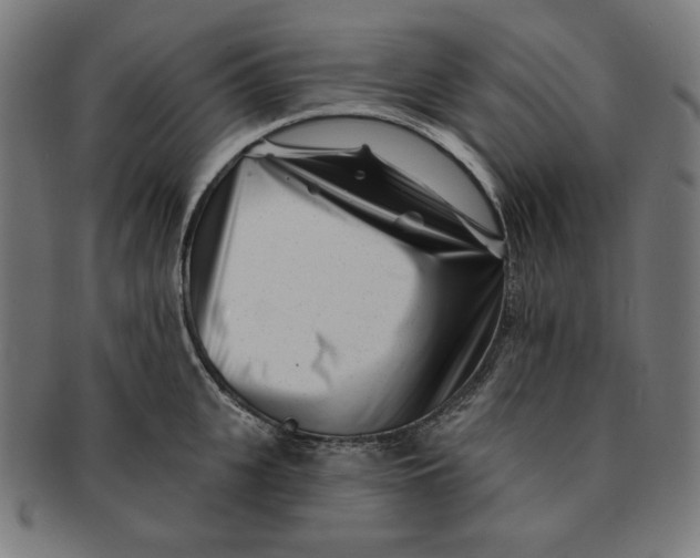 X0000091170951200709060931