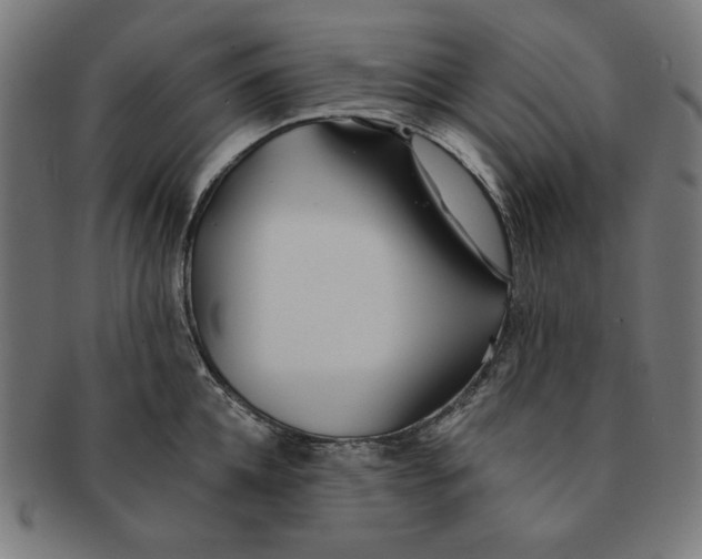 X0000091170952200709060931