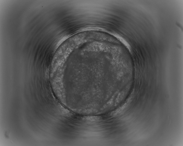 X0000091170953200709060931