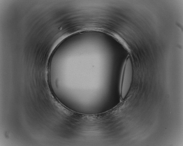 X0000091170955200709060931