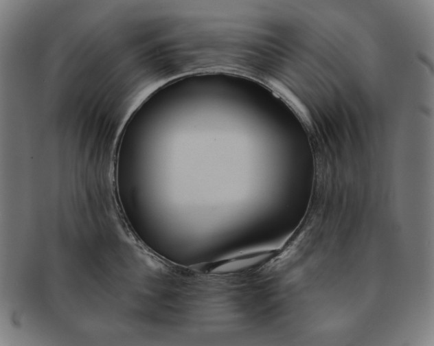 X0000091170956200709060931