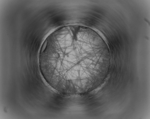 X0000091170957200709060931