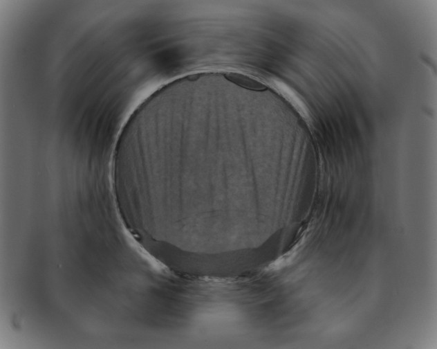 X0000091170958200709060931