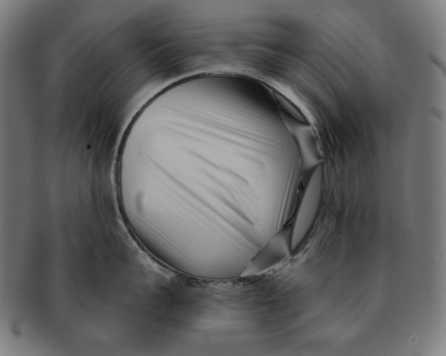 X0000091170959200709060931