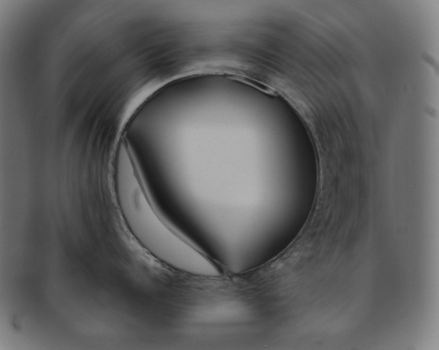 X0000091170960200709060931