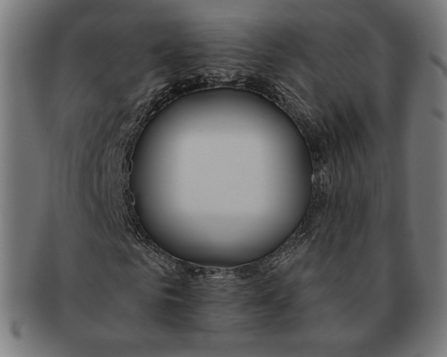 X0000091170961200709060930