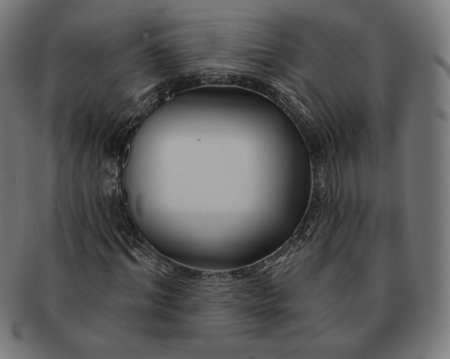 X0000091170964200709060930