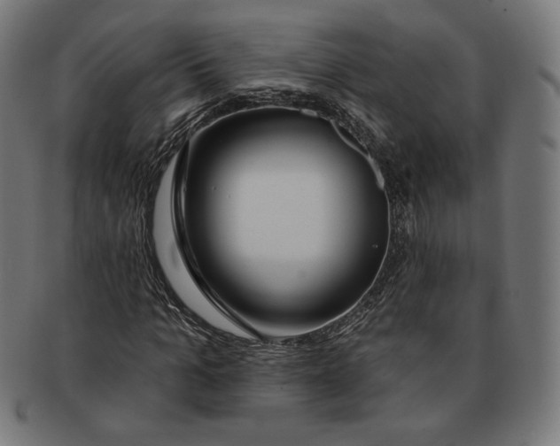 X0000091170965200709060930