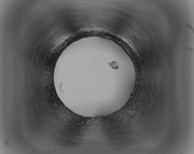 X0000091170967200709060930