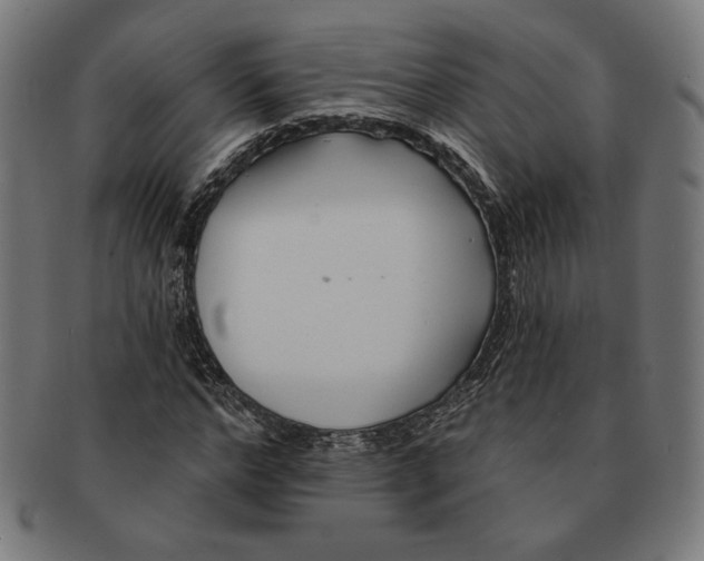 X0000091170968200709060930