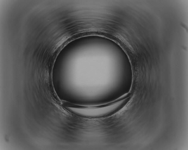 X0000091170969200709060930